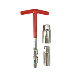 ΚΑΣΤΑΝΙΕΣ & ΚΑΡΥΔΑΚΙΑ